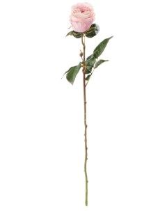 Искусственный цветок Роза Герцогиня кремовая Most flowers