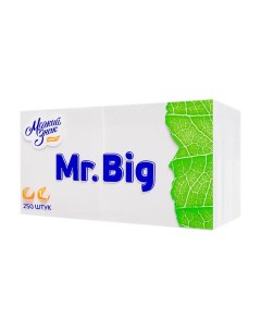 Салфетки Mr Big 24x24 см 1 слой 250 листов Мягкий знак