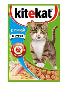 Влажный корм для кошек с рыбой в соусе 24шт по 85г Kitekat