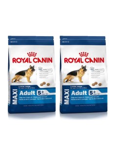 Сухой корм для собак Maxi Adult 5 свинина 2шт по 15кг Royal canin