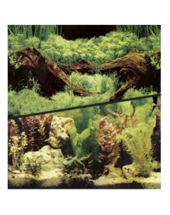 Фон для аквариума двухсторонний растительный ламинированная бумага 30x10 см Hagen