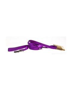 Поводок для собак нейлон фиолетовый 2x200см Great&small