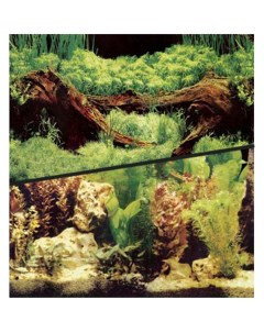 Фон для аквариума двухсторонний растительный растительный 45x10 см Hagen