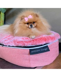 Лежанка для собак Ballerina Pink розовый нейлон размер S 50х60 см Ambient lounge