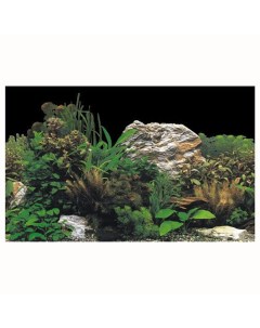 Декорация Фон для аквариума и террариума Растения 50 см Hobby