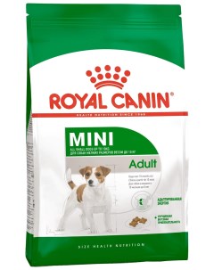 Сухой корм для собак Mini Adult для мелких рис 2 кг Royal canin