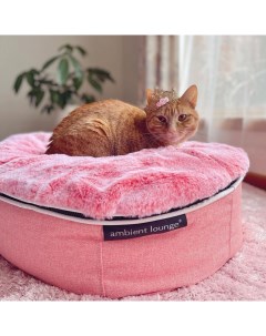 Лежанка когтеточка для кошек Pet Lounge Ballerina Pink розовый размер S 50х60 см Ambient lounge