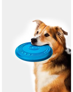 Жевательная игрушка апорт для собак синий 18 см Голдик