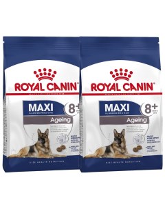 Сухой корм для пожилых собак крупных пород Maxi Ageing 8 2 шт по 3 кг Royal canin