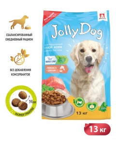 Сухой корм для взрослых собак всех пород Джоли Дог Лосось и рис 13 кг Зоогурман