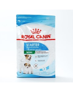 Сухой корм для кормящих собак и щенков Mini Starter 3 кг Royal canin