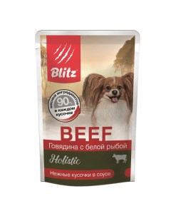 Влажный корм для собак Holistic мелких пород говядина с рыбой 24 шт по 85 г Blitz
