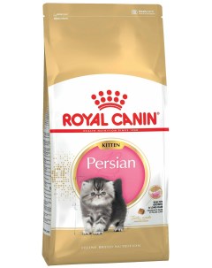 Сухой корм для котят Persian Kitten для персидской породы 10 кг Royal canin