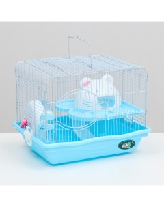 Клетка для грызунов с наполнением 37х27х30 см голубая Пижон