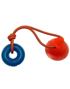 Игрушка для собак шипованное кольцо на присоске синяя 45 см N1