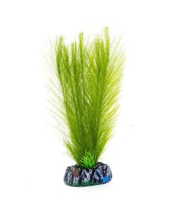 Растение для аквариума 2026 зеленое 20 см Nobrand