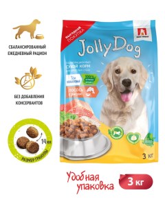 Сухой корм для взрослых собак всех пород Джоли Дог Лосось и рис 3 кг Зоогурман
