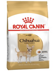 Сухой корм для собак Chihuahua Adult птица и рис 500 г Royal canin