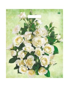 Пакет Белые розы полиэтиленовый с вырубной ручкой 38х45 см 60 мкм 50 шт Тико-пластик