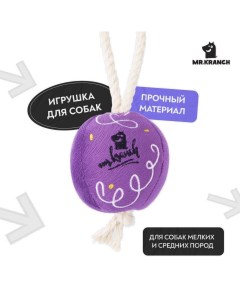 Игрушка для собак мелких и средних пород Шарик новогодний с канатом 20х9х9 см фиолетовый Mr.kranch
