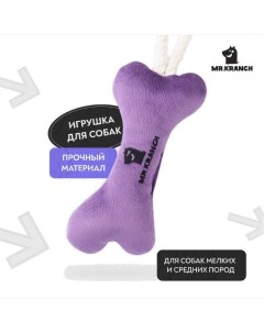 Игрушка для собак Косточка с канатом для мелких и средних пород 31х9х4см фиолетовая Mr.kranch
