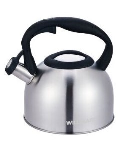 Чайник для плиты WTK 3229SS Матовый Willmark