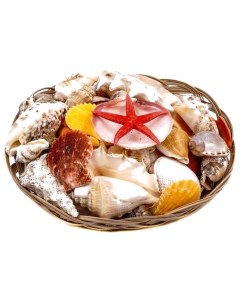 Декор для аквариума набор морских раковин в корзине 18 см Аква лого
