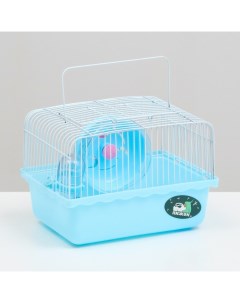 Клетка для грызунов 23х17х17 см голубая Пижон
