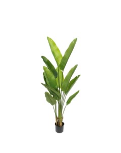 Искусственное растение Стрелиция 160 см Без бренда