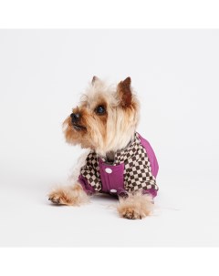 Куртка для собак S фиолетовая Petmax