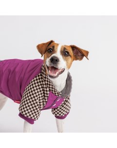 Куртка для собак 2XL фиолетовая Petmax