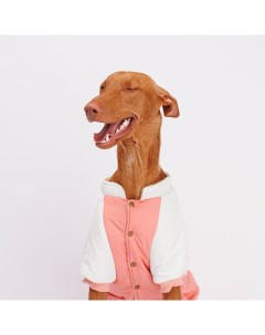 Комбинезон для собак 5XL розово серый девочка Petmax