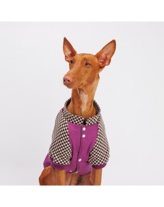 Куртка для собак 4XL фиолетовая Petmax