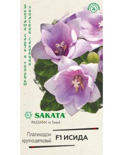 Семена платикодон Исида F1 24542 1 уп Sakata