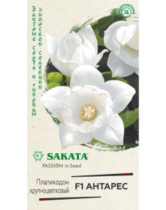 Семена платикодон Антарес F1 24541 1 уп Sakata