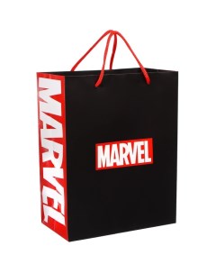 Пакет ламинированный вертикальный Мстители 18х23х10 см Marvel