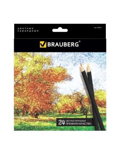 Карандаши цветные 24 цвета Artist line d 3мм 6гр черный корпус 180565 6 уп Brauberg