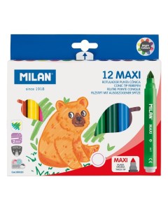 Набор фломастеров Maxi на водной основе 12 цветов в картонной упаковке Milan