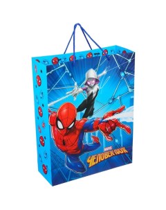 Пакет ламинированный вертикальный Человек паук Человек паук 31х40х11 см Marvel