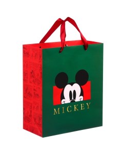 Пакет ламинированный вертикальный Mickey Микки Маус 23х27х11 см Disney