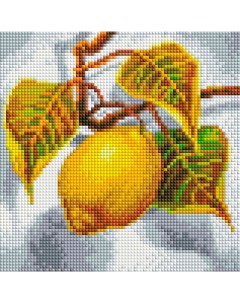 Алмазная мозаика на подрамнике Лимон 20 х 20 см Белоснежка