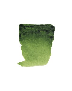 Акварель Talens Rembrandt 10 мл Зеленый травяной Royal talens
