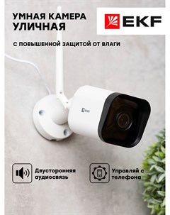 IP камера white sсwf ex Ekf