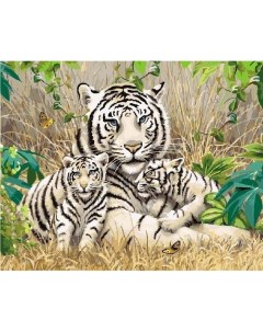 Картина по номерам Белые тигры 40x50 Вангогвомне