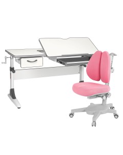 Комплект Study 120 парта кресло органайзер ящик белый серый с розовым крес Anatomica
