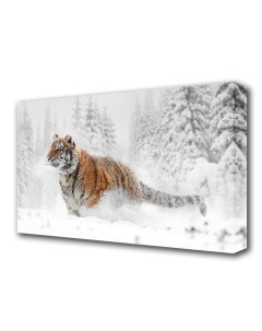 Картина на холсте Тигр в снегу 60 100 см Topposters