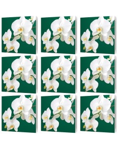 Салфетки бумажные орхидеи 3 слоя 33х33см 20шт уп 9 уп Bulgaree green