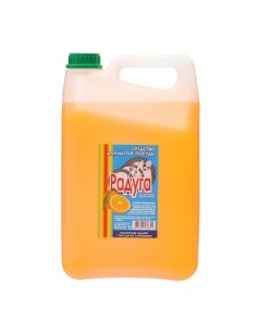 Средство для мытья посуды химия Апельсин 5 л Радуга