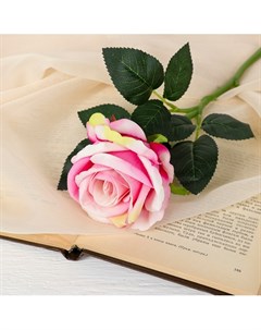 Цветы искусственные Роза венесуэльская 8 23 см розовая Айрис