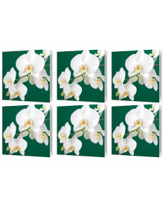 Салфетки бумажные орхидеи 3 слоя 33х33см 20шт уп 6 уп Bulgaree green